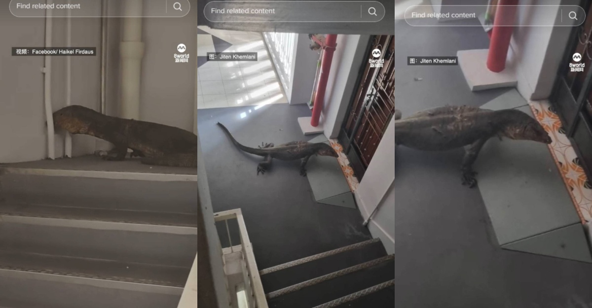 biawak 'ziarah' blok kediaman