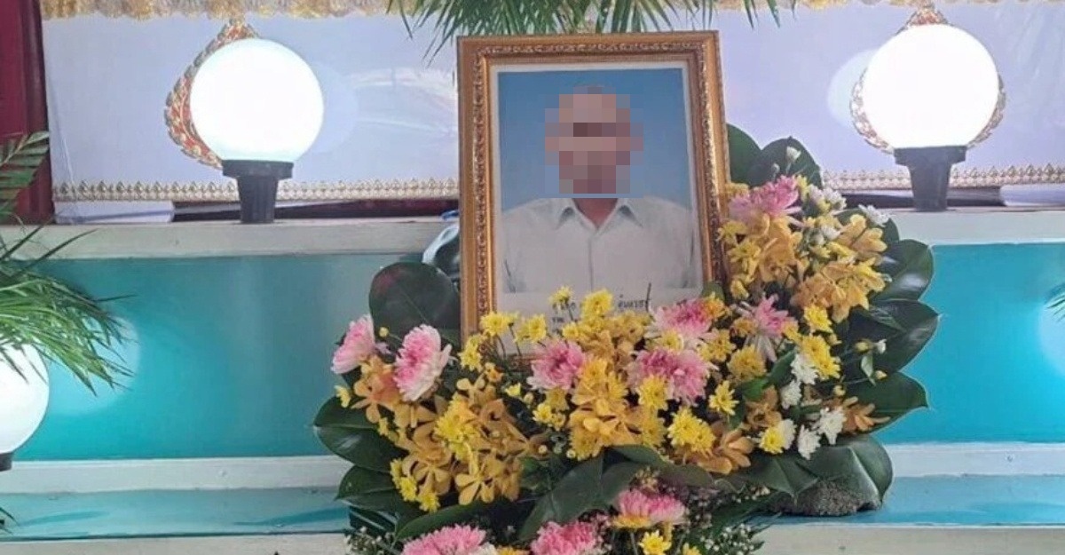 cabut 12 batang gigi