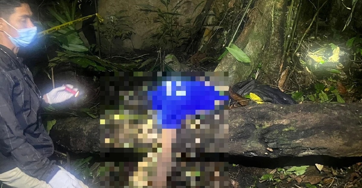 pencari madu lebah maut