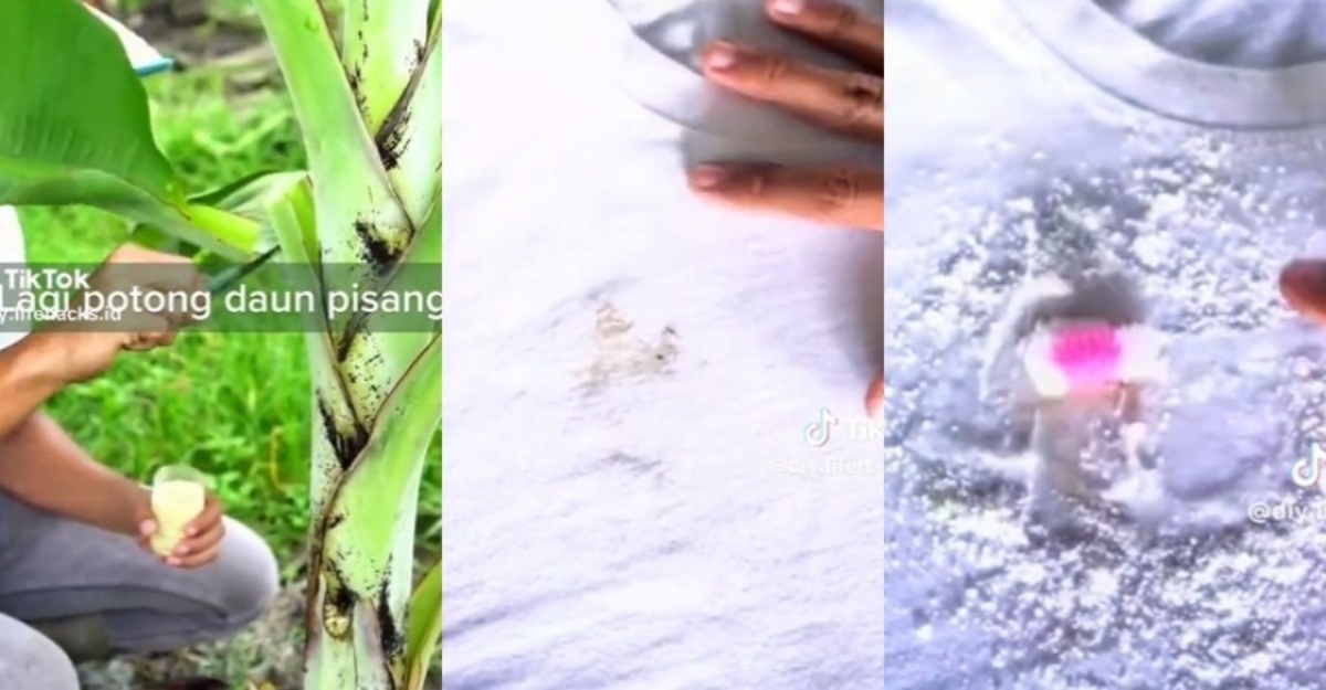 cara hilangkan getah pisang
