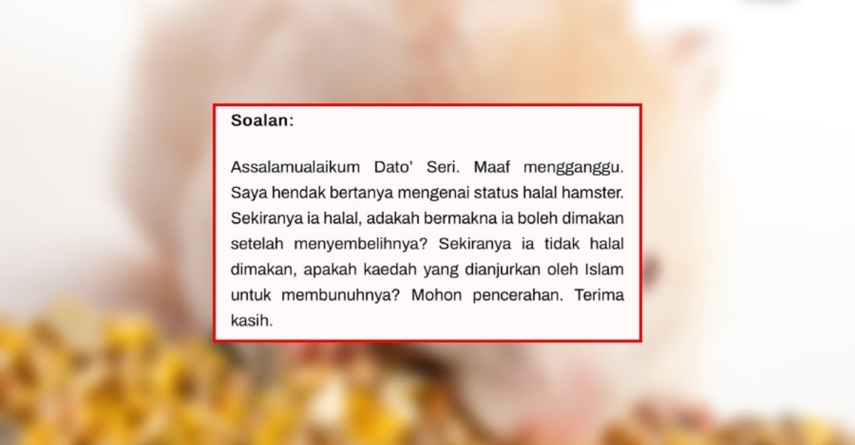 hukum memakan hamster