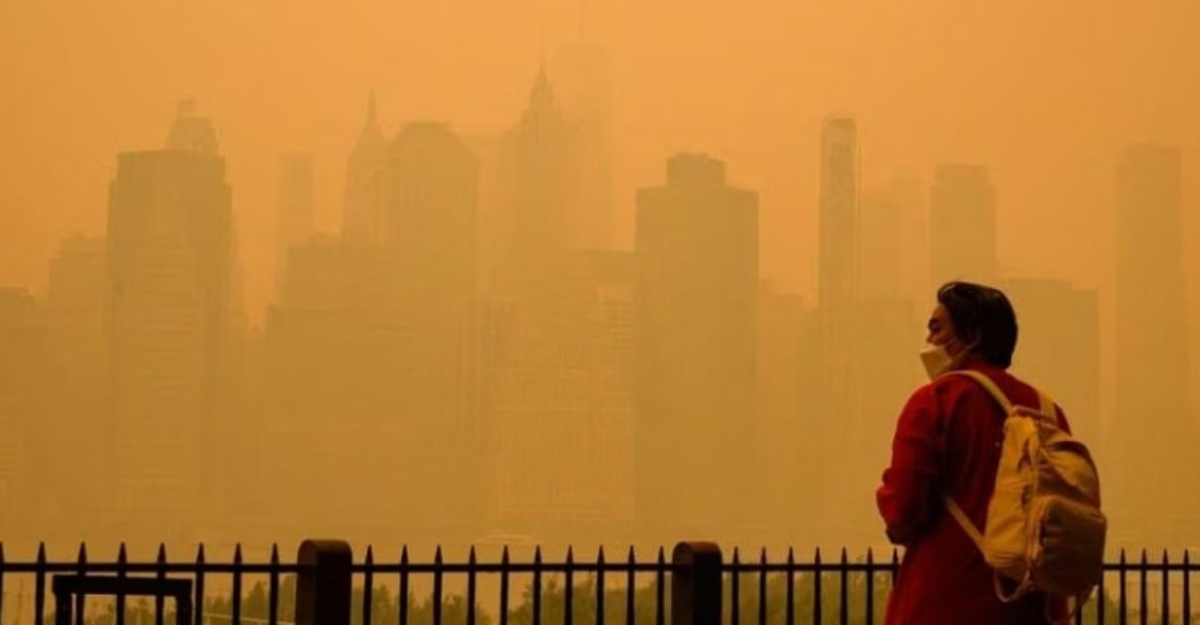 Langit kuning new york