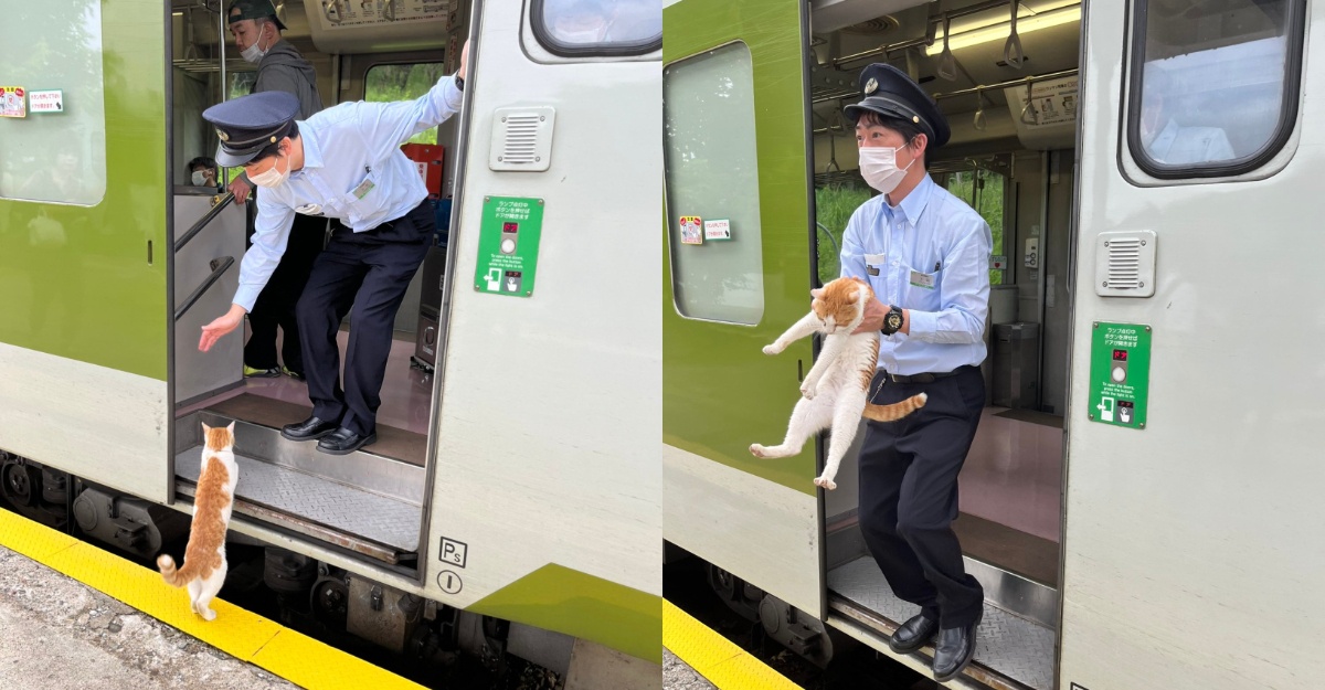 oyen kereta api lewat