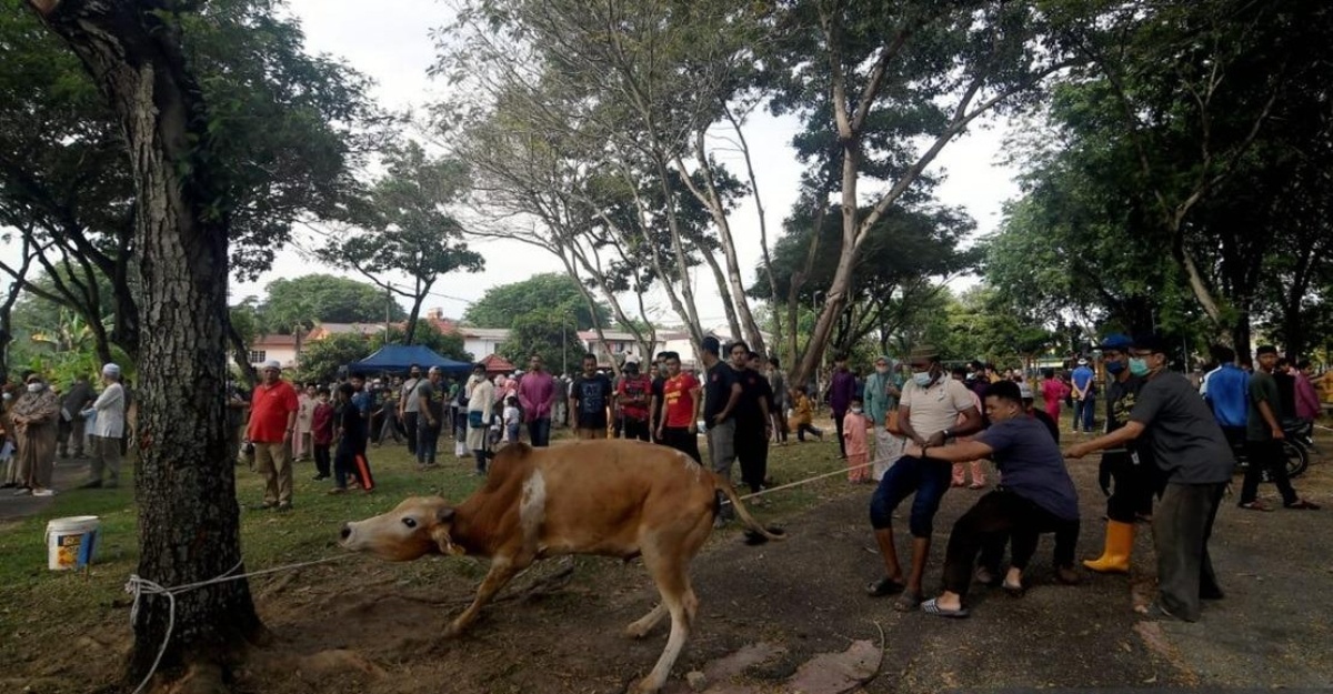 korban bagi pihak orang lain