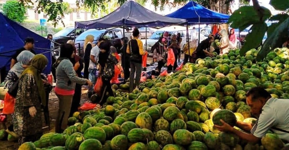 netizen beli buah tembikai