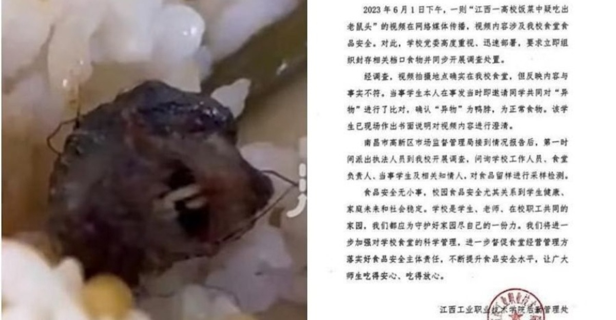 temui Kepala tikus dalam makanan