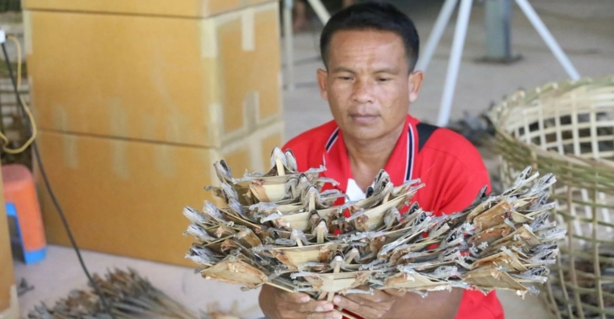 cicak tokek