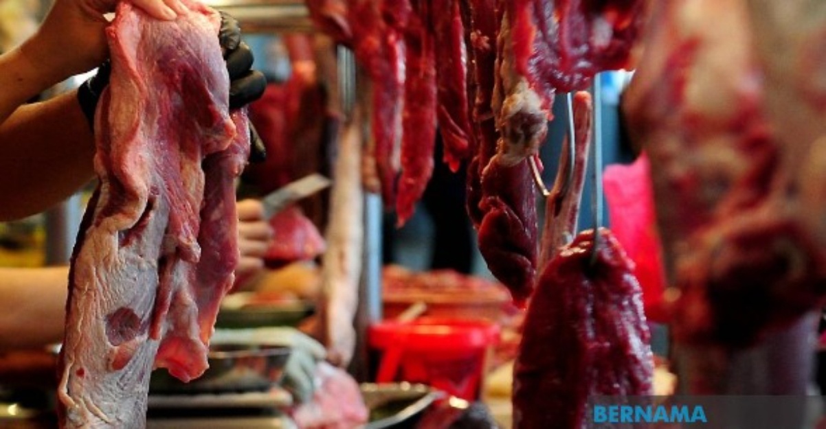 lembu kambing lebih baik