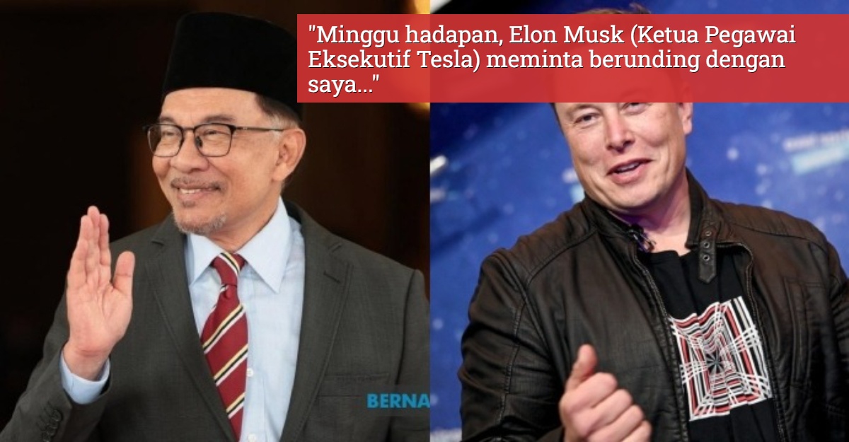 elon musk berunding anwar