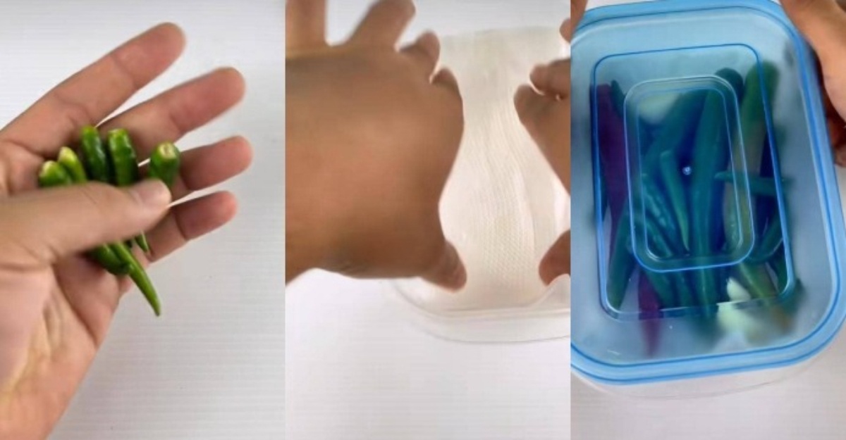 Ada 'Bahan Rahsia', Cili Akan Tahan Lama Jika Anda Lakukan Tips Ini