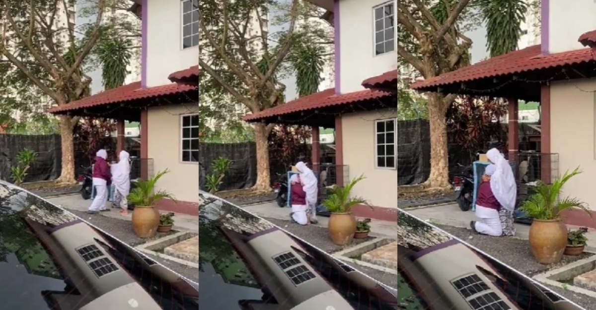 wanita meraung kucing dibelit ular