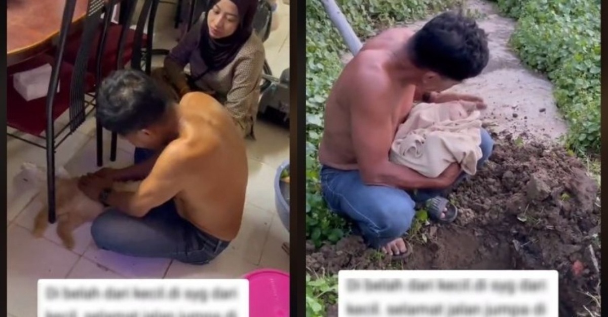 kucing kesayangan pergi negeri abadi