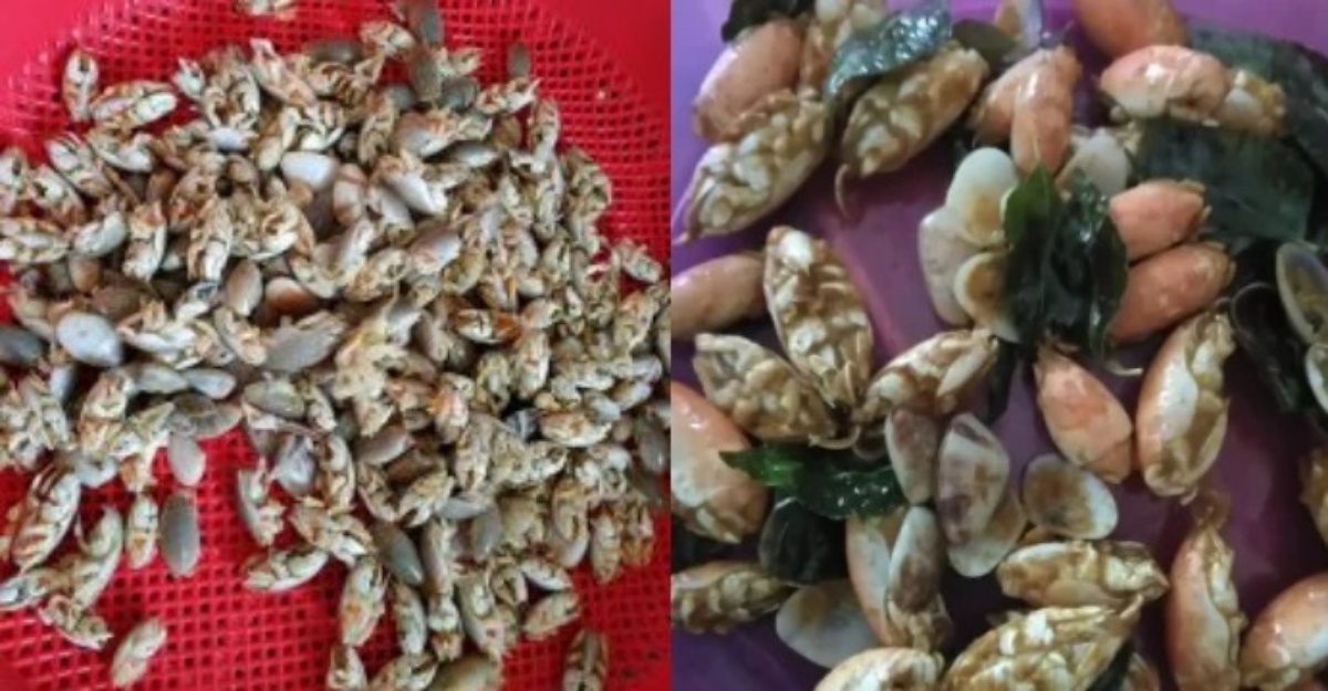 mana nak cari yat yat