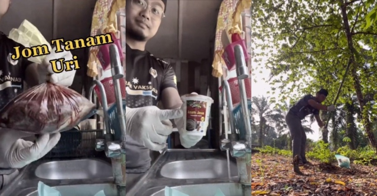 cara bersihkan & tanam uri