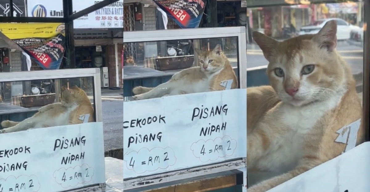 oyen landing jelingan maut