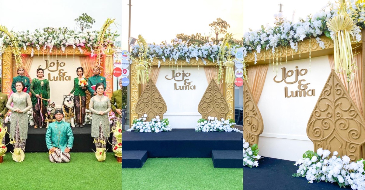 anjing kos kenduri