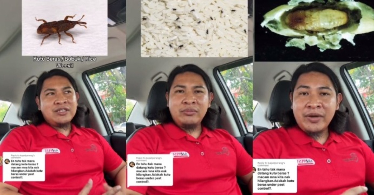 Stres Kerana Setiap Kali Masak Nasi Jumpa 'Ini', Kenali Bubuk Beras