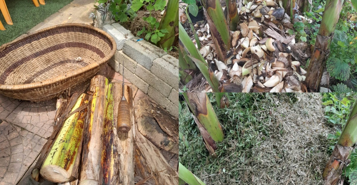 baja organik batang pisang