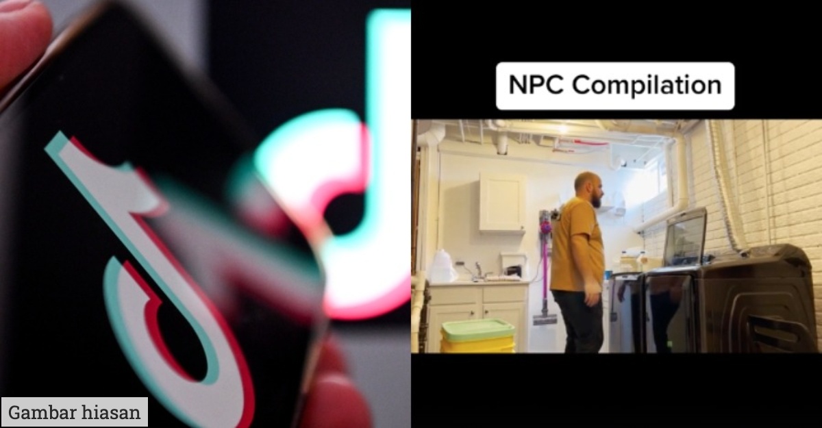Apa itu npc