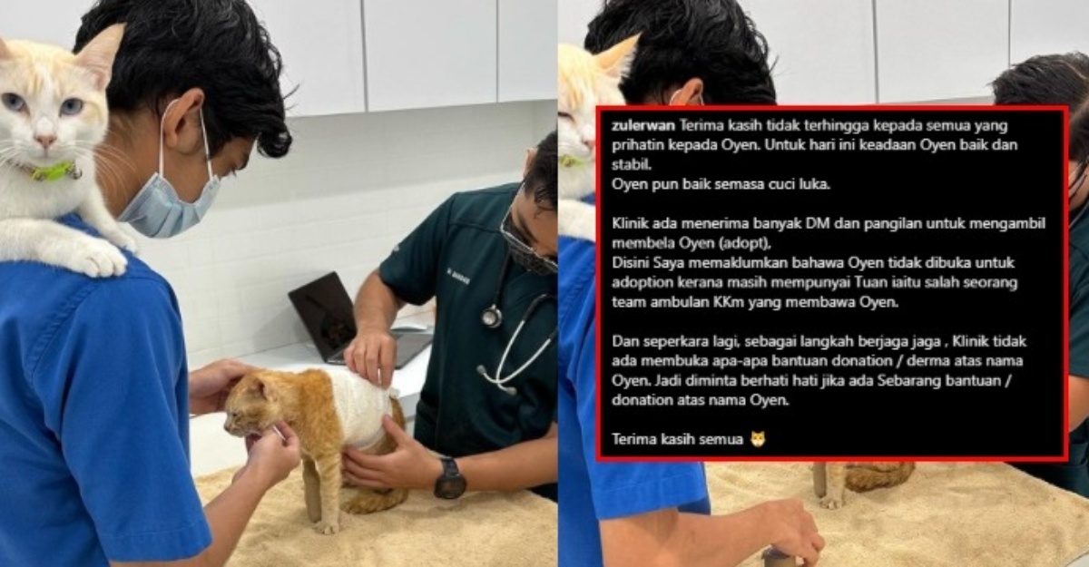 derma oyen nahas elmina