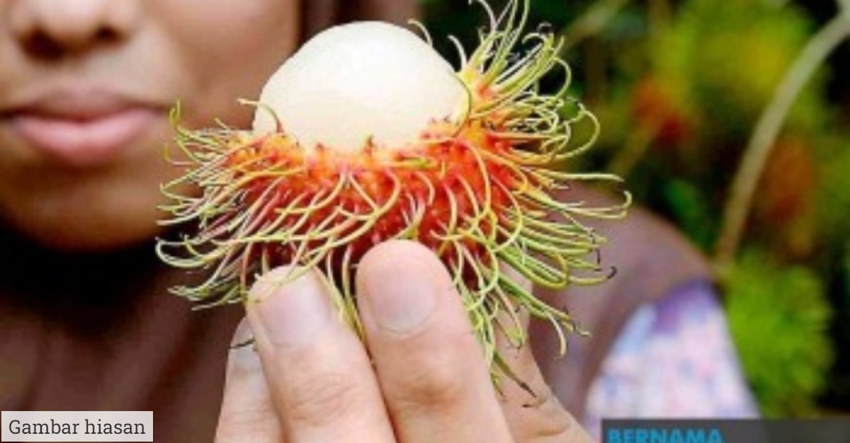 maut akibat tercekik rambutan