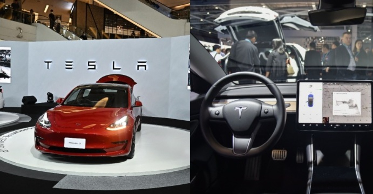 Abang-abang tesla popular