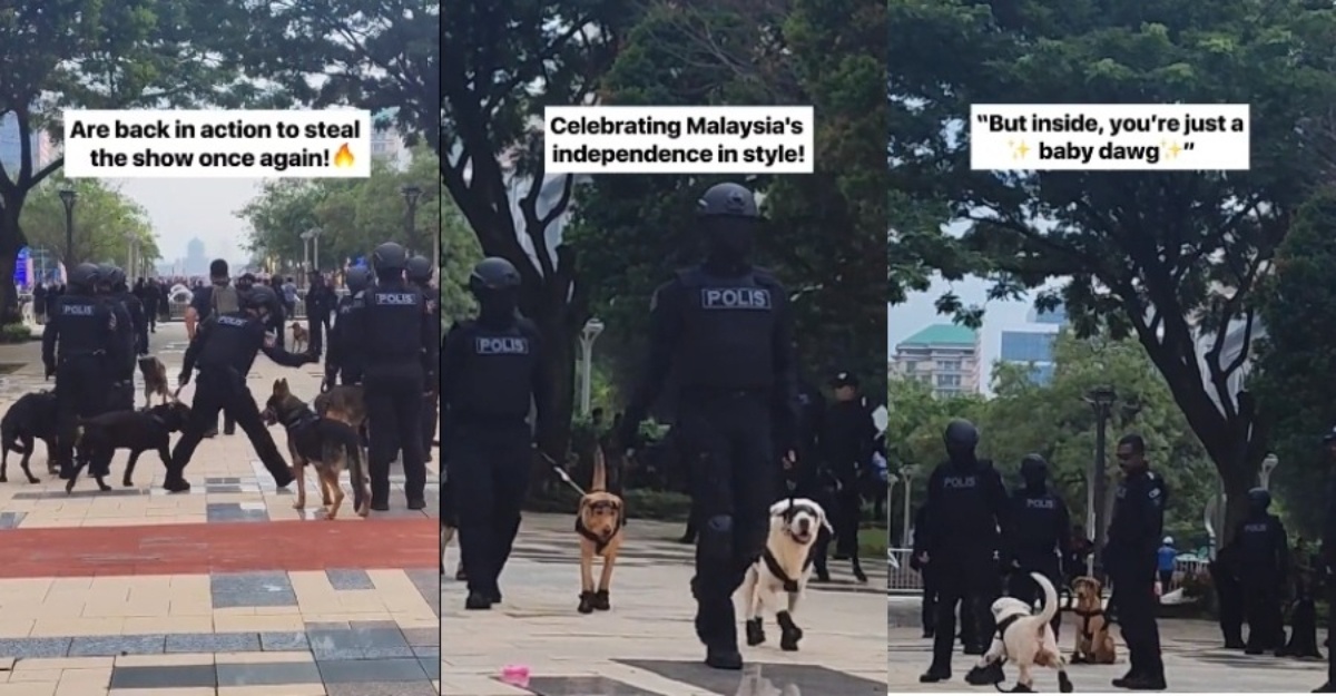 unit k-9 pdrm