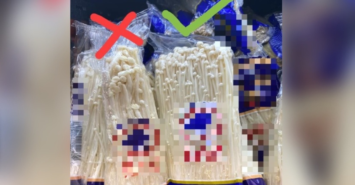 Check cendawan enoki