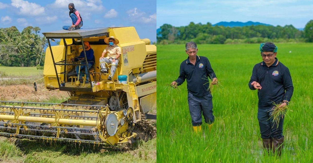 terengganu beras jenama sendiri