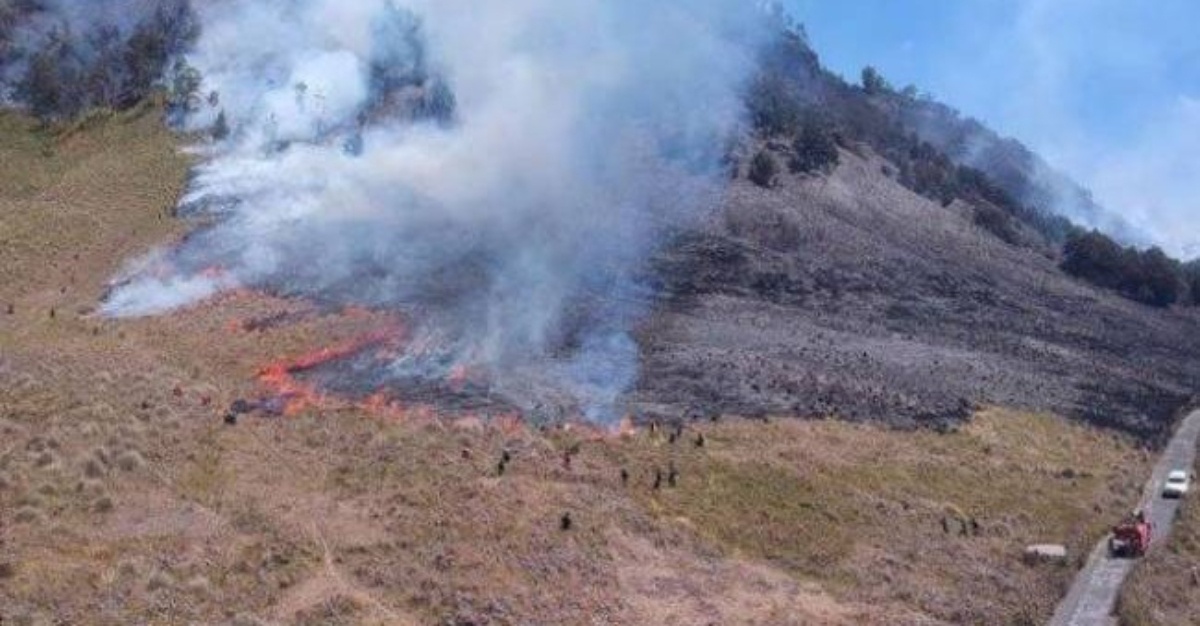 bromo pasangan kekasih