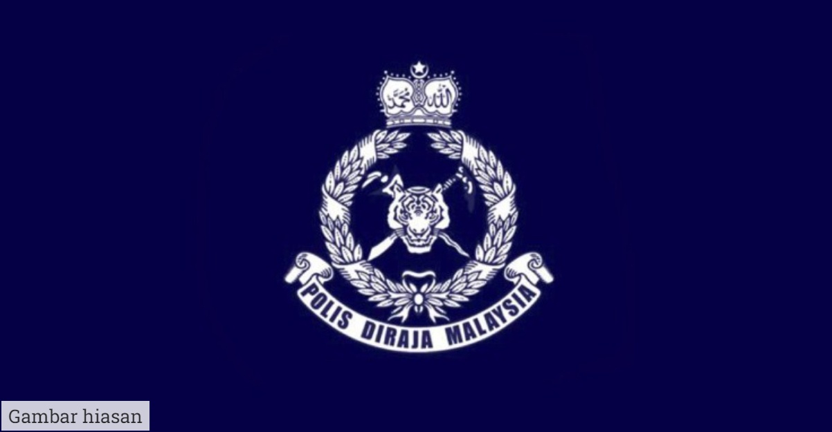lelaki dibaham harimau