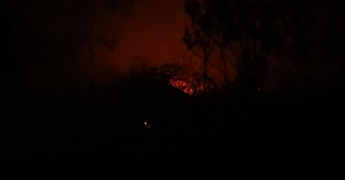kalimantan tengah darurat