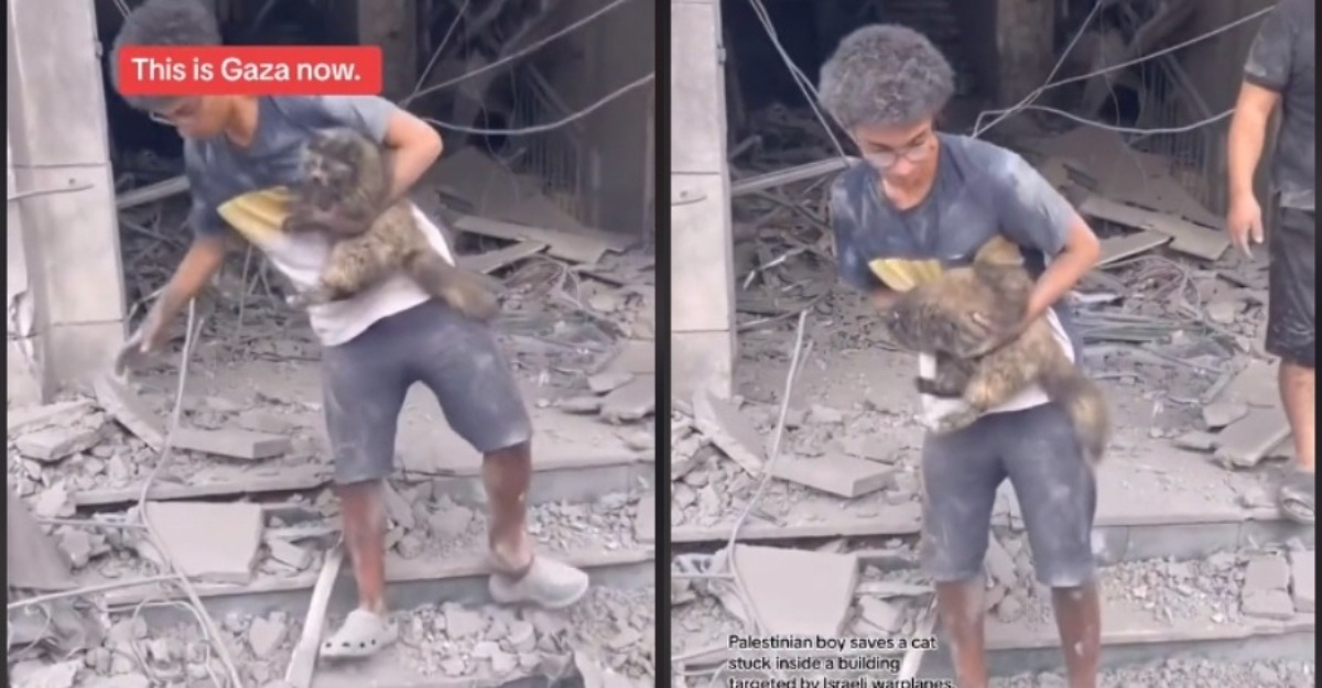 Remaja Palestin kucing
