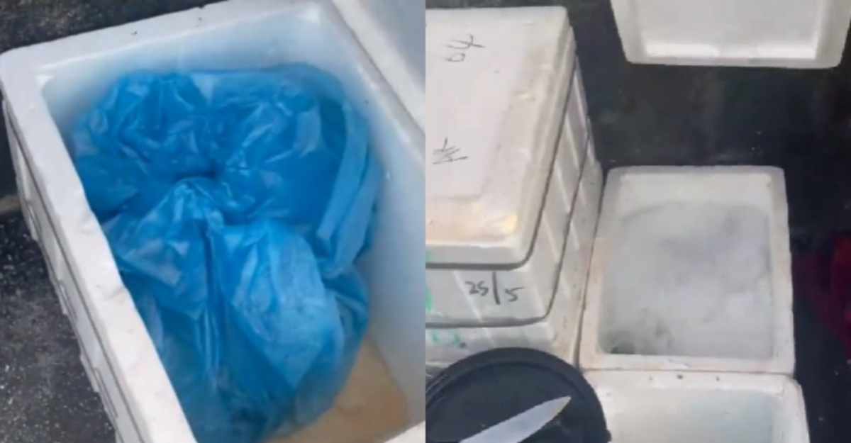 peniaga ikan hilang