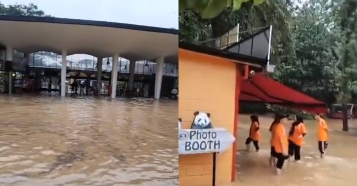zoo negara banjir kilat