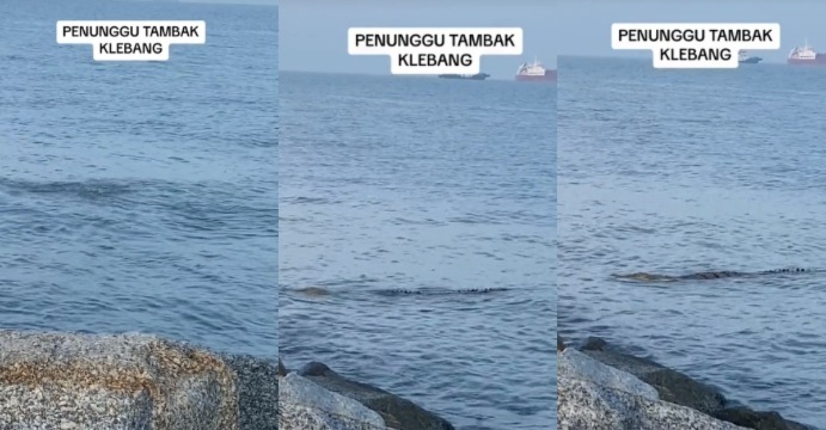 penunggu tambak klebang