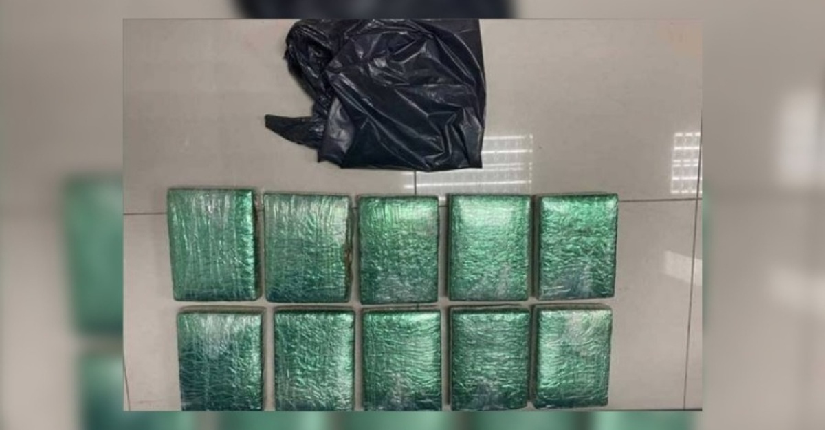 pelajar tingaktan ganja