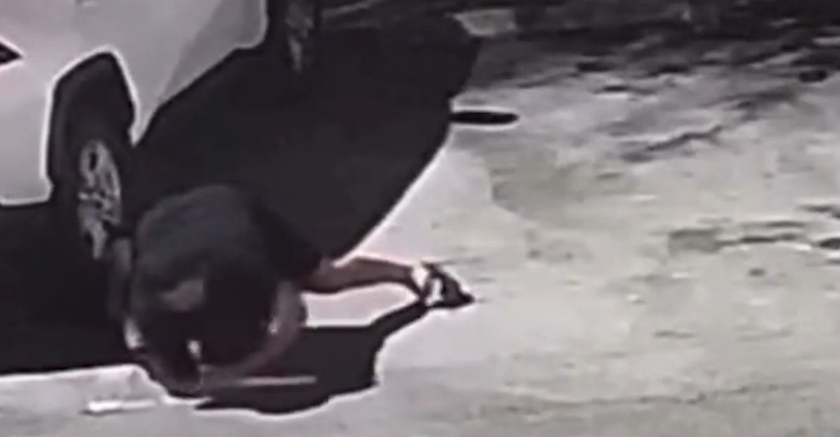 fighter mma tumpaskan pisau