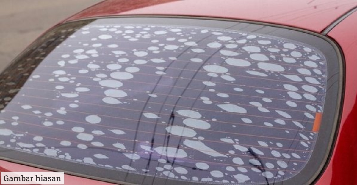 bubble dalam tinted