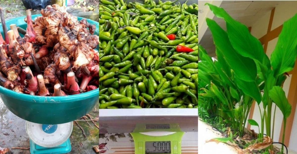 cara buat baja diy
