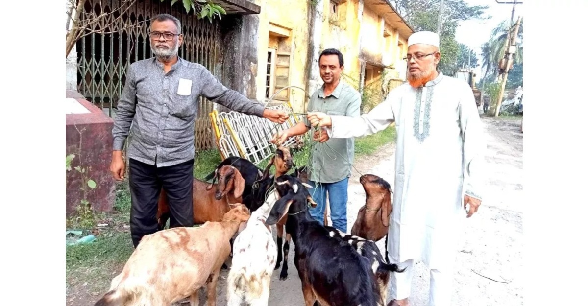 kambing dibebaskan penjara