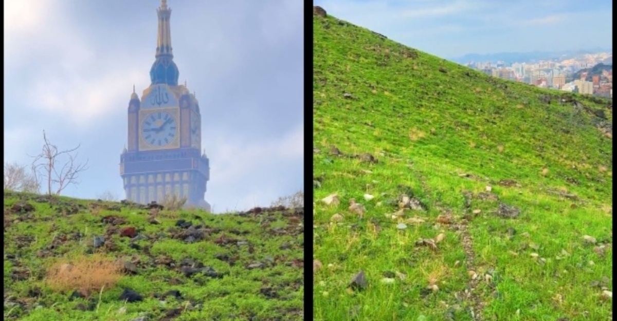 Pergunungan Kota Mekah bertukar hijau