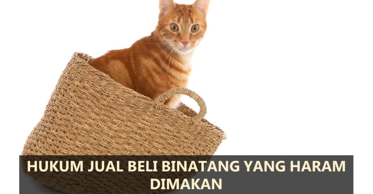 hukum jual beli binatang haram dimakan
