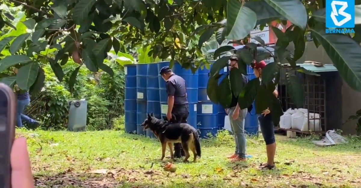 ruby anjing k9 zayn rayyan