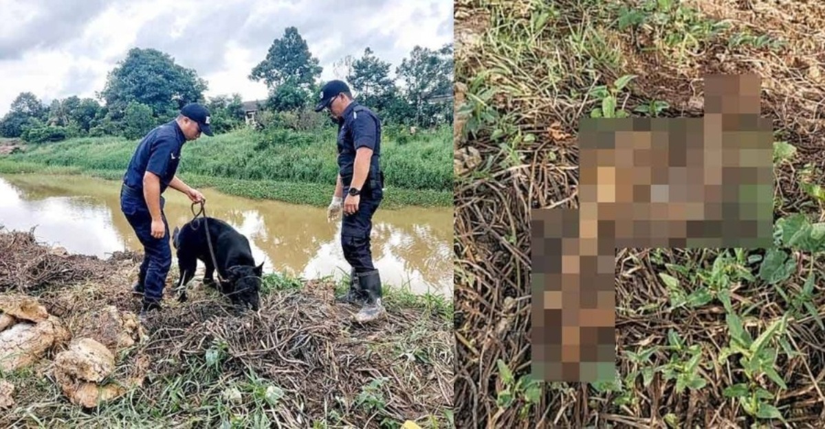 Rangka manusia tidak sempurna