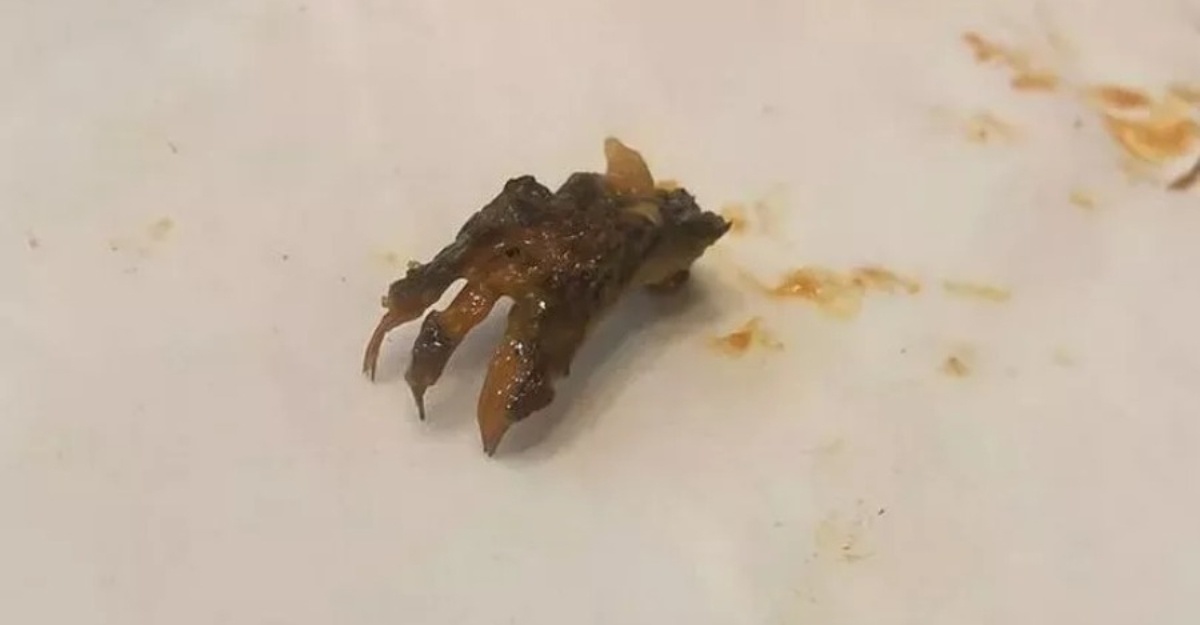 Pelanggan jumpa kaki haiwan kecil