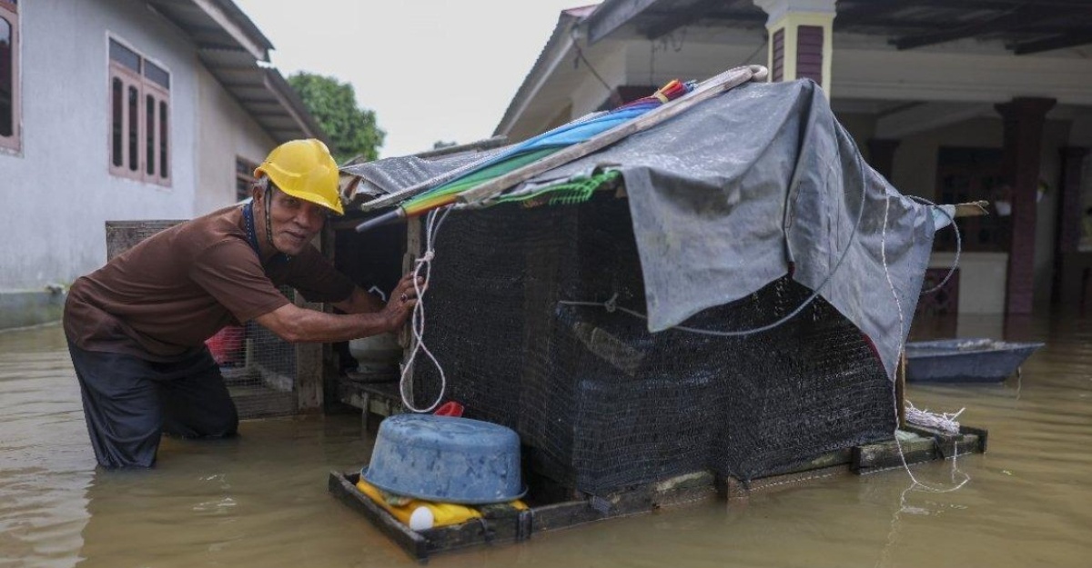 jumlah mangsa banjir