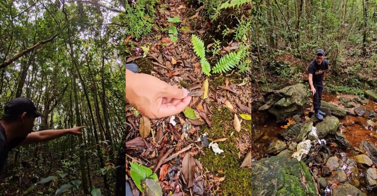 tersesat dalam hutan