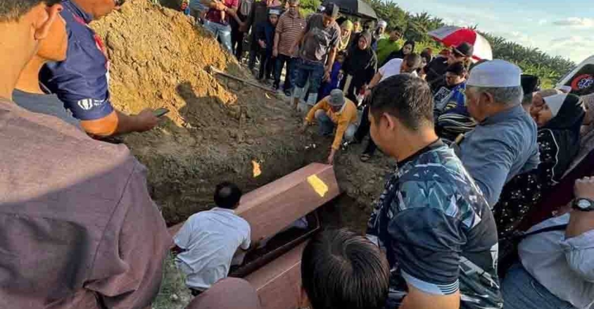ibu bapa babi hutan melintas