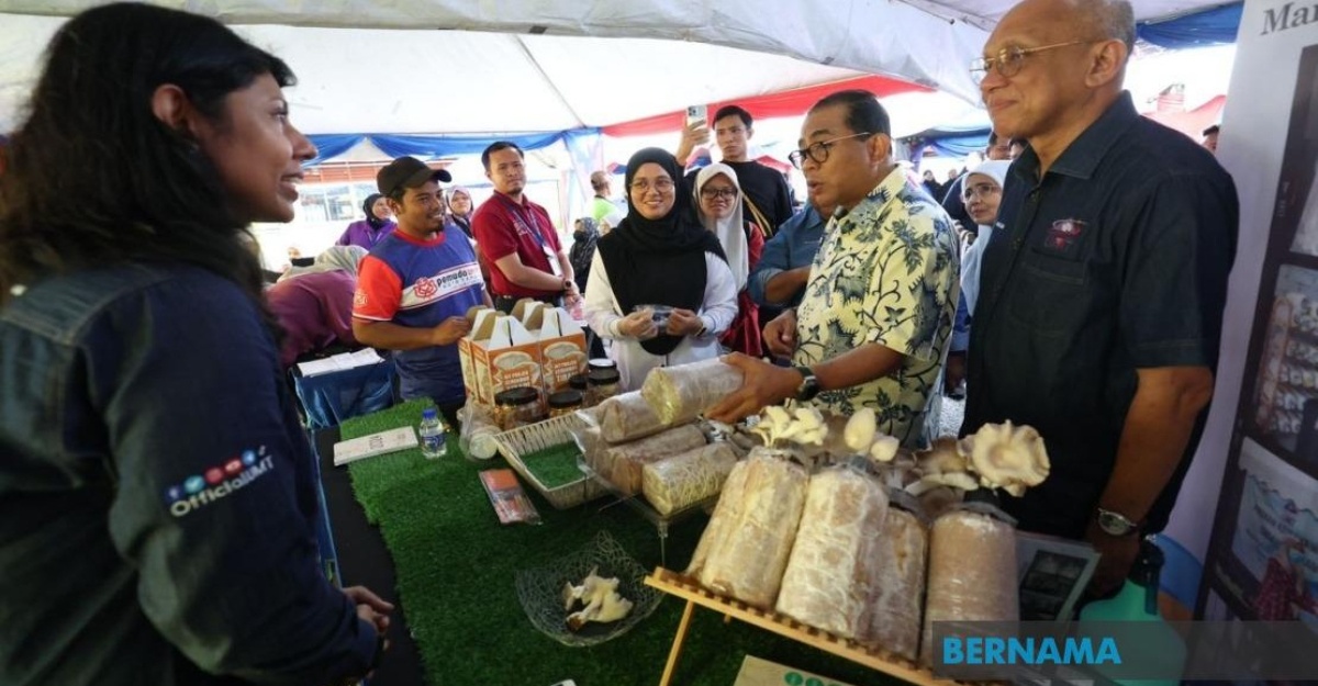 kartel mindef kerjasama siasatan
